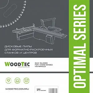 Основная пила WoodTec для форматно-раскроечных станков Ø300 х 3,2/2,2 х 30 Z96TR